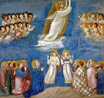 Buona Pasqua! Buona Pasqua!