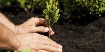 Successione e passaggio generazionale